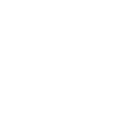 2019-11_BetoniporssiLogo_512x512px_WHITE